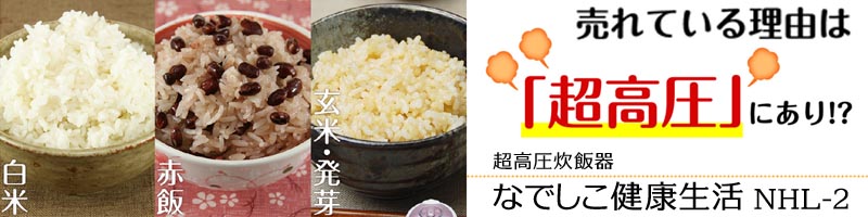 �Ȃł������N����NHL-2���T�C�g